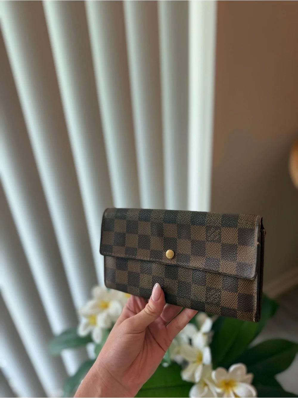 Louis Vuitton Epene Damier Women's Wallet Clutch